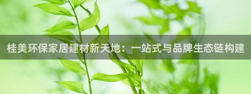 杏宇官方娛樂(lè)：桂美環(huán)保家居建材新天地：一站式與品牌生態(tài)鏈構(gòu)建