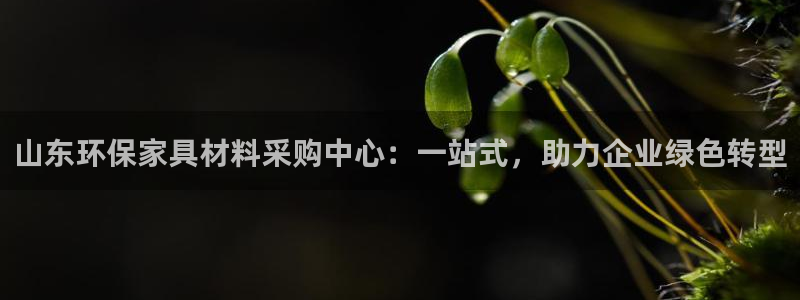 杏宇平臺(tái)到底能玩嗎：山東環(huán)保家具材料采購(gòu)中心：一站式，助力企