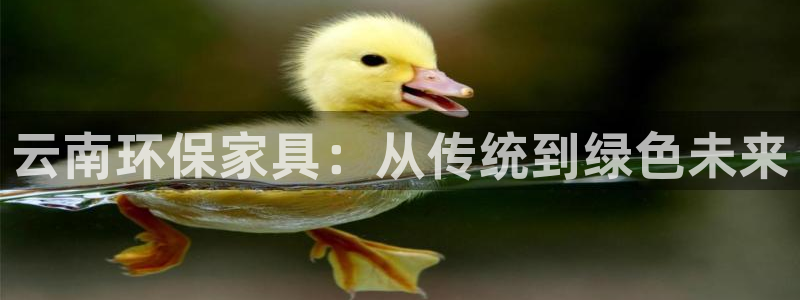 杏宇平臺代理登錄網(wǎng)址是什么