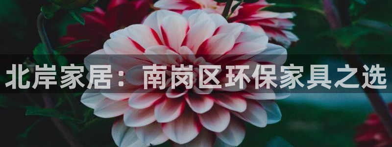 杏宇平臺怎么樣