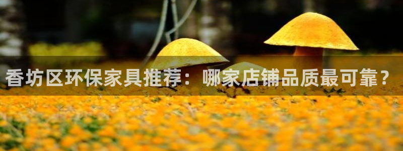 杏宇官網(wǎng)注冊(cè)：香坊區(qū)環(huán)保家具推薦：哪家店鋪品質(zhì)最可靠？