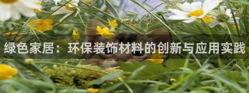杏宇平臺(tái)開(kāi)戶(hù)：綠色家居：環(huán)保裝飾材料的創(chuàng)新與應(yīng)用實(shí)踐